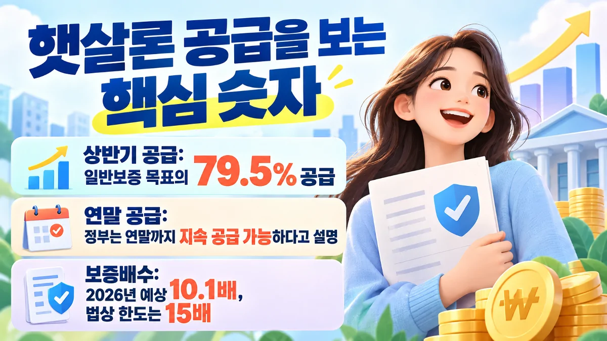 햇살론 일반보증 공급 비율과 연말 공급 여력, 보증배수를 정리한 인포그래픽